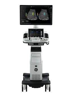 Ультразвуковой аппарат GE HealthCare Logiq P10