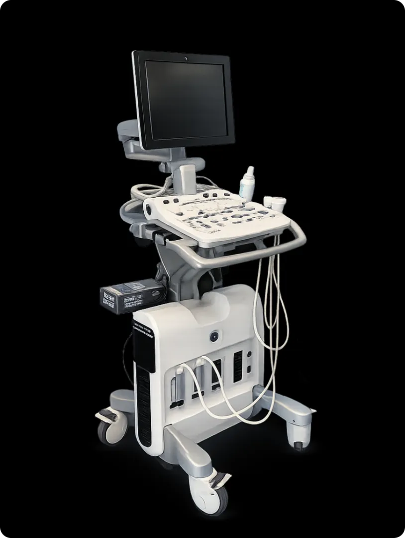 Vivid S6